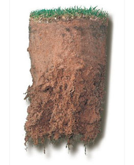 硅藻土土壤改良剂